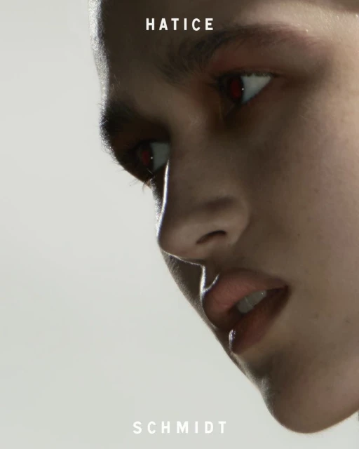 Lipstick Ad Campaign