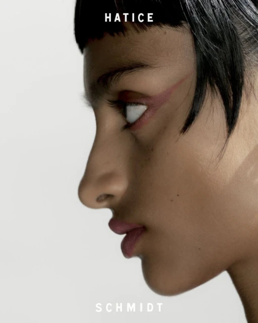 Lipstick Ad Campaign