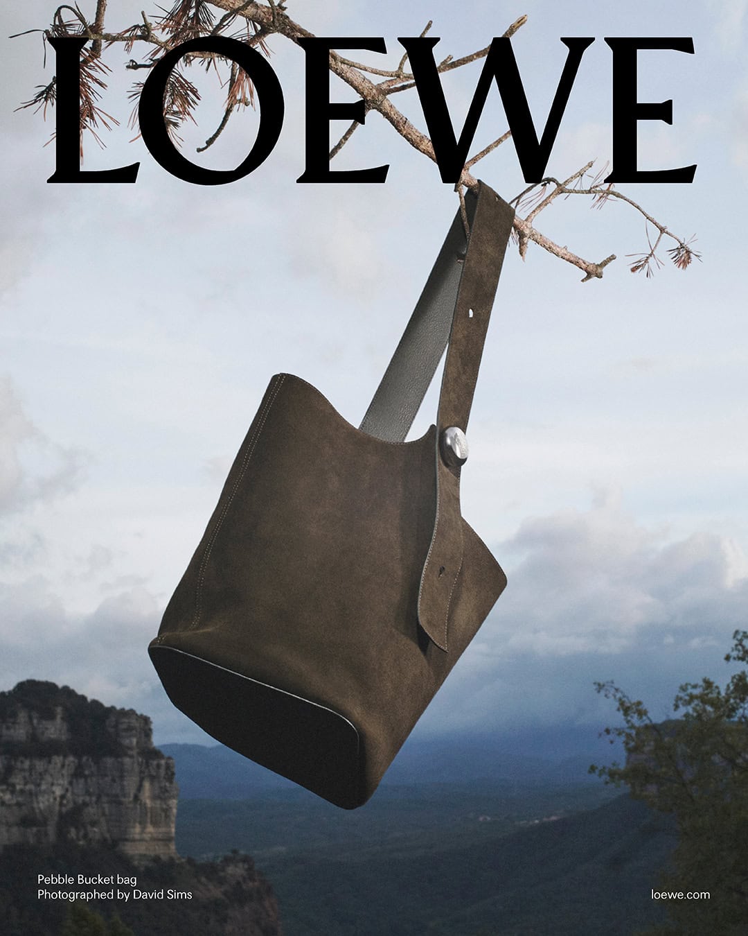 Loewe brown suede bucket bag hanging from a tree branch against a mountainous outdoor landscape under an overcast sky.
