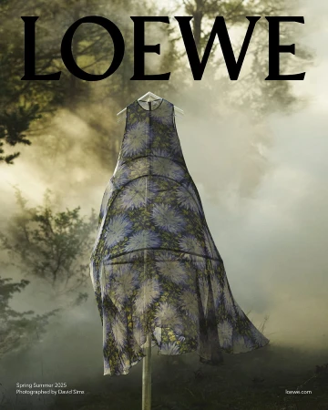 A patterned sheer dress hanging on a wooden pole amidst a misty forest background under soft, atmospheric light.
