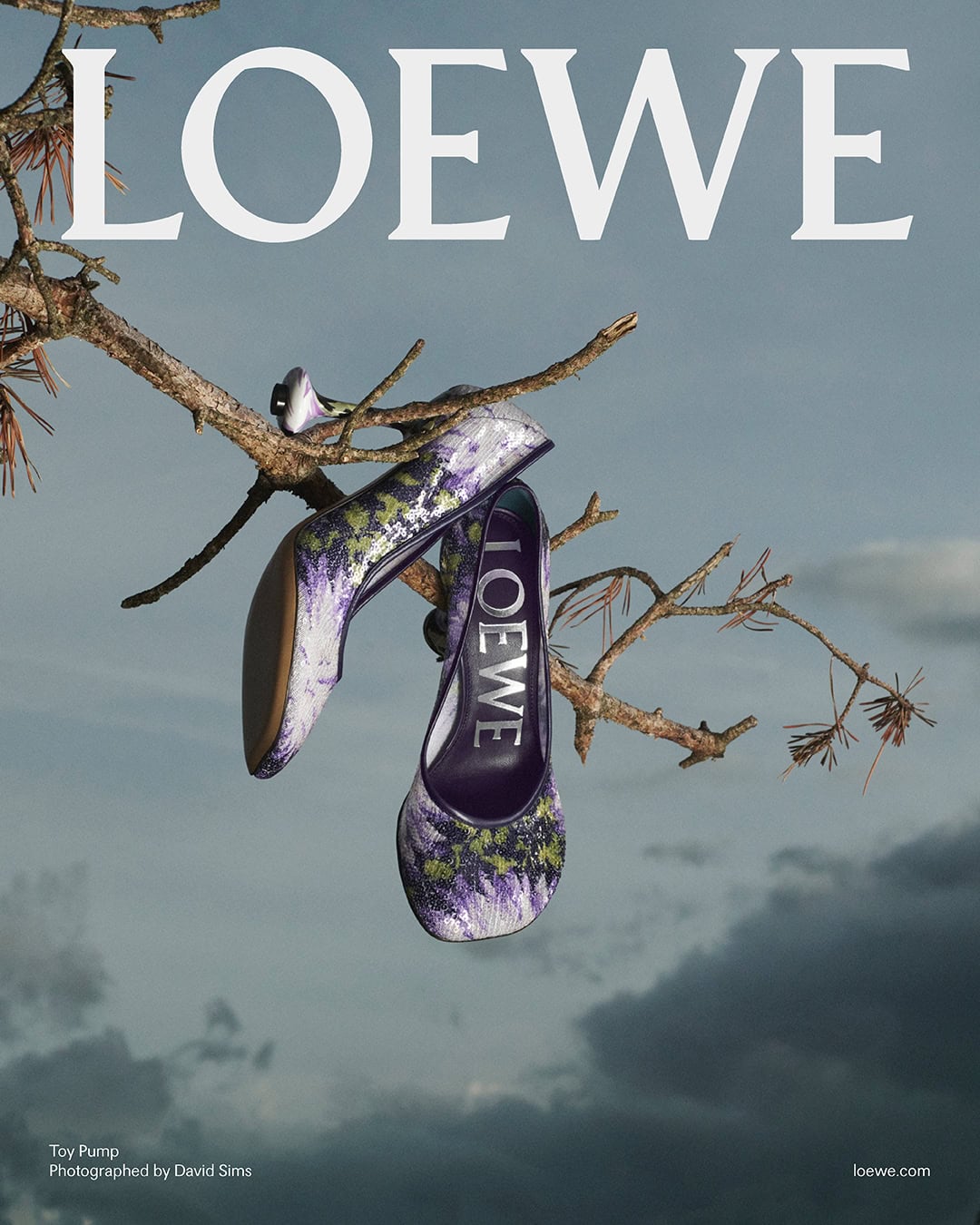 Purple patterned heels hanging from a bare tree branch against an overcast sky for Loewe campaign