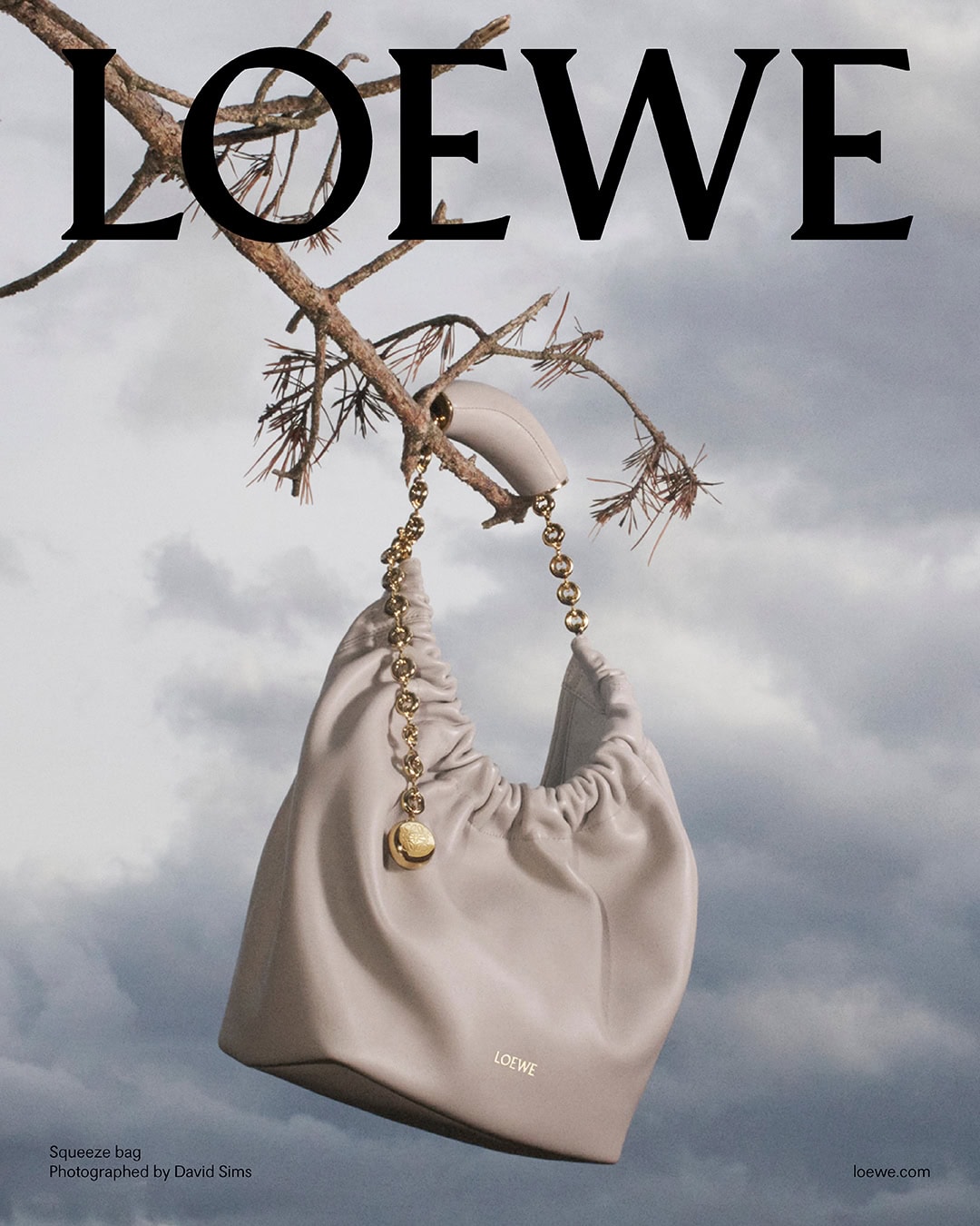 Loewe Squeeze bag hanging from a pine branch against an overcast sky in a campaign image by David Sims