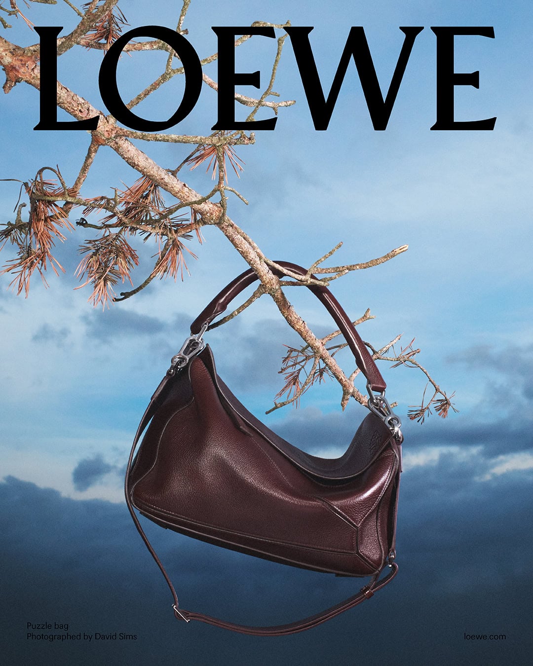 Dark brown leather handbag hanging from a pine tree branch against a blue sky for Loewe Spring 2025 campaign.