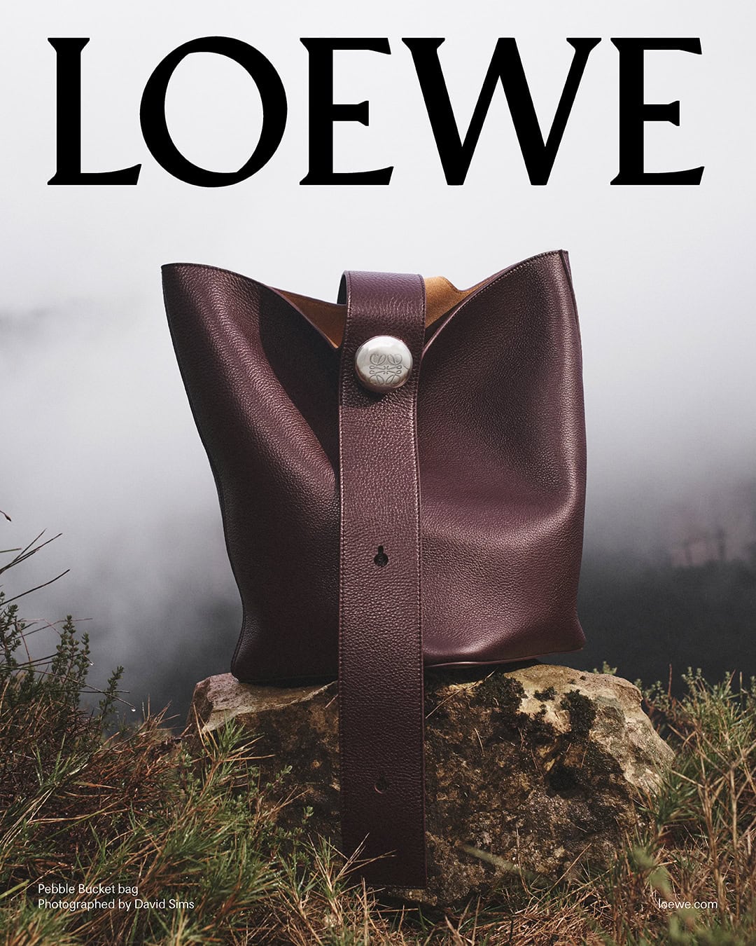 Loewe leather bucket bag resting on a mossy rock in a foggy landscape