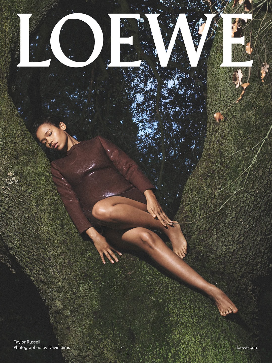 Taylor Russell reclining in the branches of a large tree wearing a dark brown long-sleeved dress for Loewe