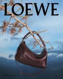 Dark brown leather handbag hanging from a pine tree branch against a blue sky for Loewe Spring 2025 campaign.