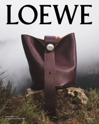 Loewe leather bucket bag resting on a mossy rock in a foggy landscape