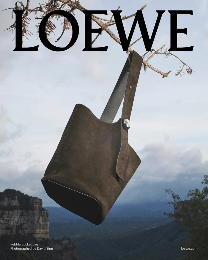 Loewe brown suede bucket bag hanging from a tree branch against a mountainous outdoor landscape under an overcast sky.
