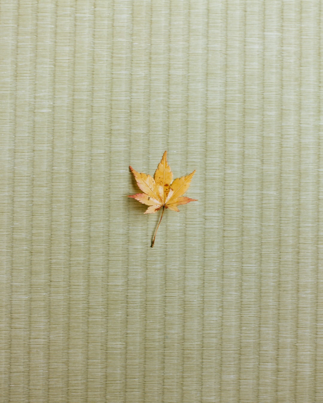 A single golden maple leaf placed centrally on a woven green tatami mat background.