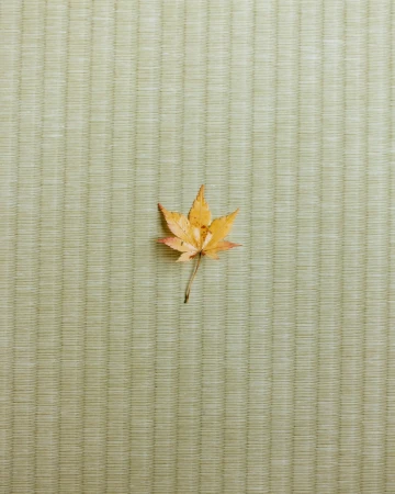 A single golden maple leaf placed centrally on a woven green tatami mat background.