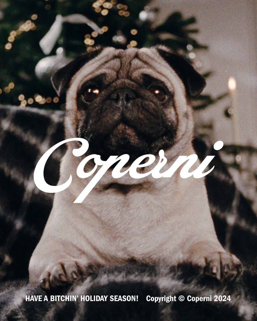 Close-up portrait of a fawn pug dog resting on a dark patterned blanket with a Christmas tree background for Coperni