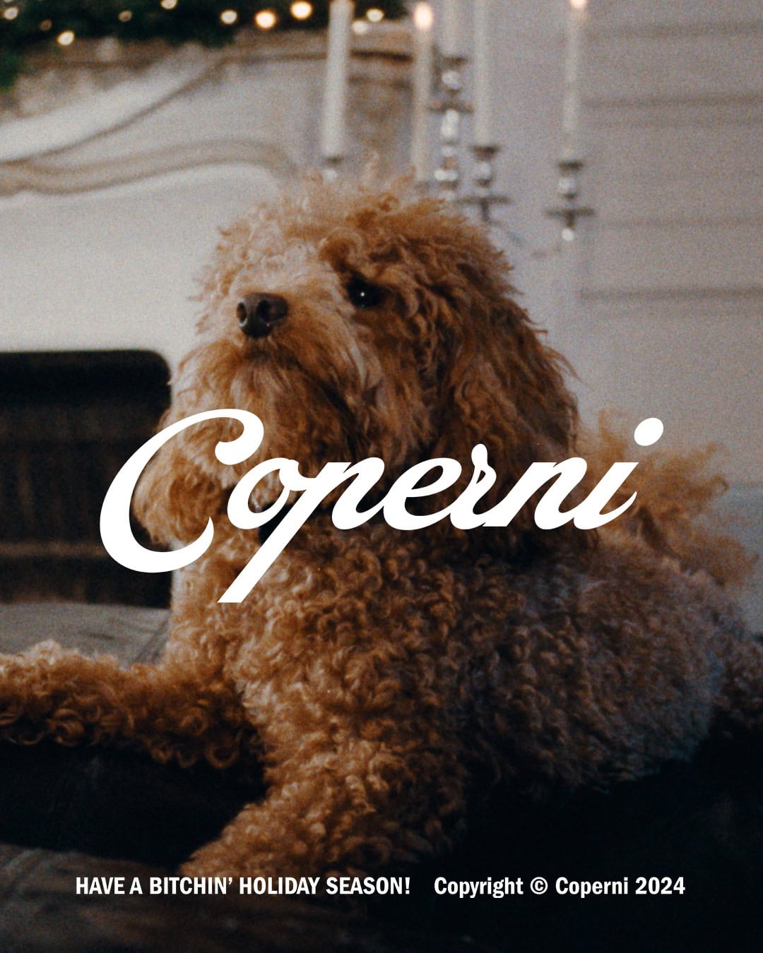 Fluffy brown poodle dog sitting indoors in front of a fireplace for the Coperni holiday campaign