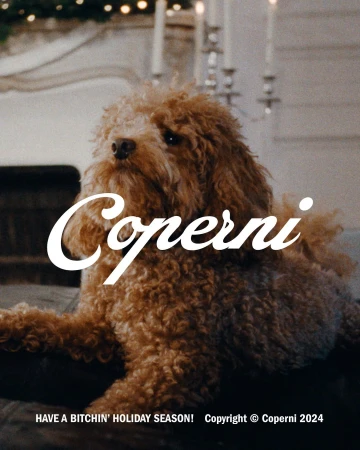 Fluffy brown poodle dog sitting indoors in front of a fireplace for the Coperni holiday campaign