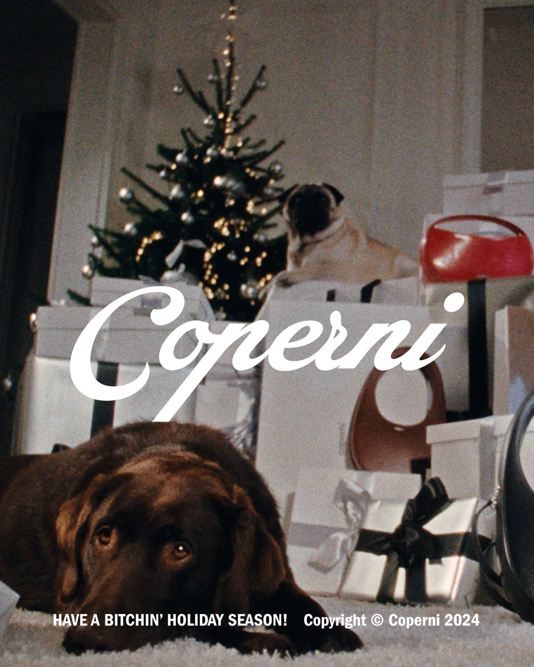 Brown dog lying on floor with gift boxes and Christmas tree in background for Coperni campaign