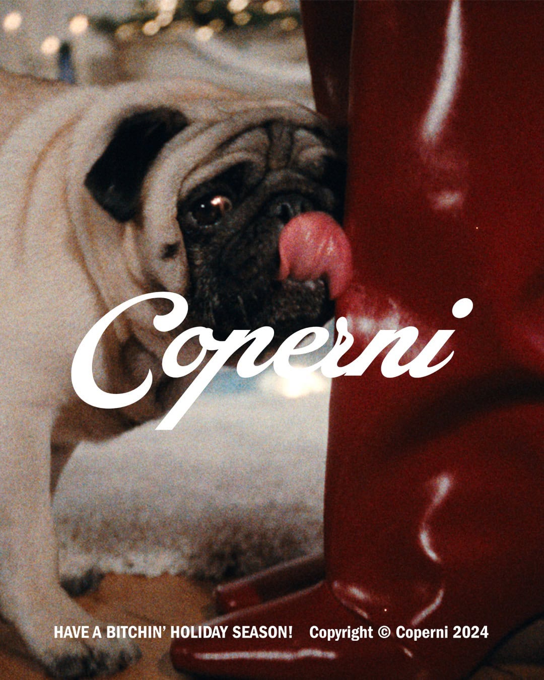 A fawn-colored pug licking a glossy red boot in a festive setting for Coperni Holiday 2024 campaign