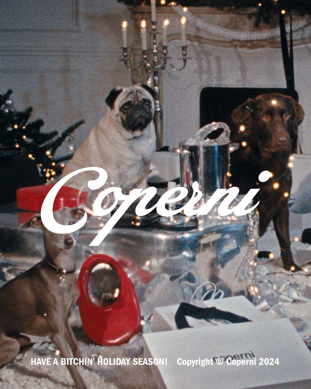 Three dogs sitting near a metallic table with Christmas lights and gifts for Coperni Holiday campaign