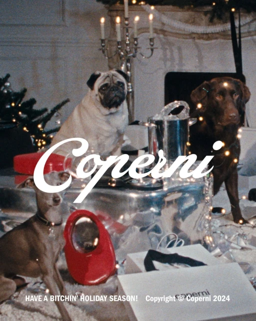 Holiday 2024 Ad Campaign