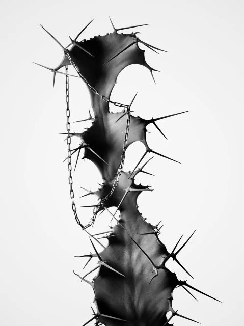 'Thorns by Guido Mocafico' Jewelery 2024 Ad Campaign