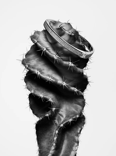 'Thorns by Guido Mocafico' Jewelery 2024 Ad Campaign