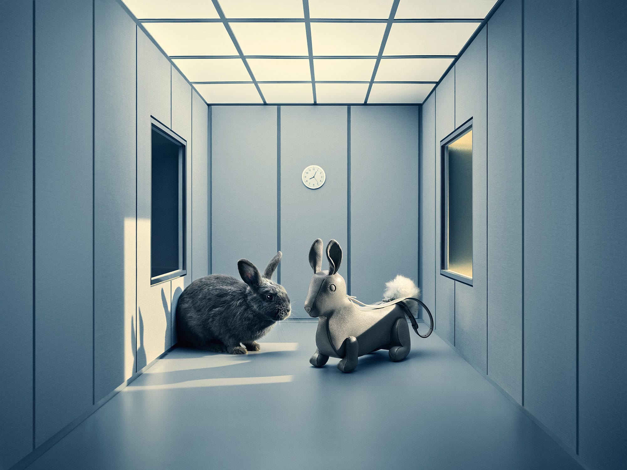 A real grey rabbit facing a leather rabbit handbag inside a grey paneled room with a illuminated grid ceiling.