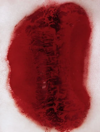 Abstract close-up of red liquid, resembling blood, creating an organic, flowing pattern against a textured white background.