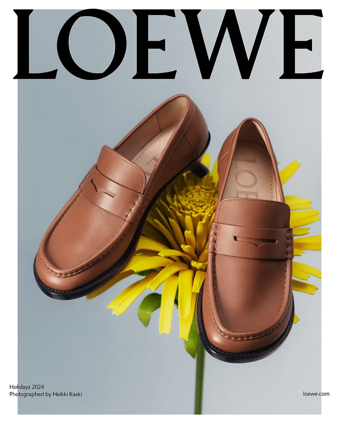 Pair of brown leather loafers resting on a bright yellow flower against a pale grey background