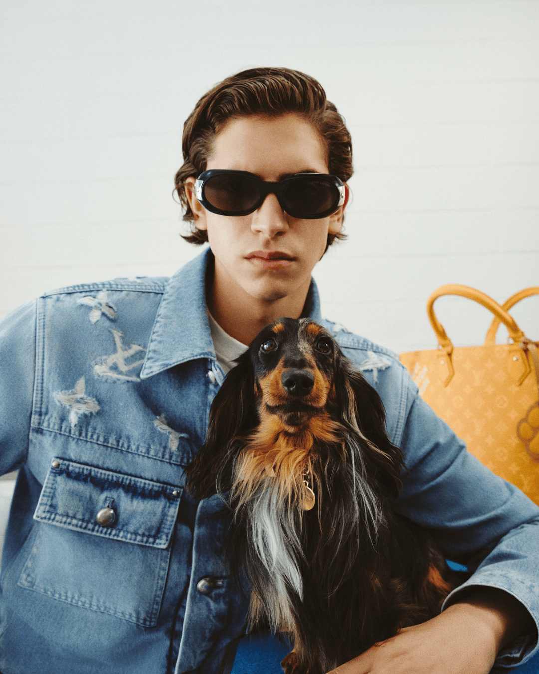 Model in denim jacket wearing sunglasses holding a dachshund with a yellow bag in the background