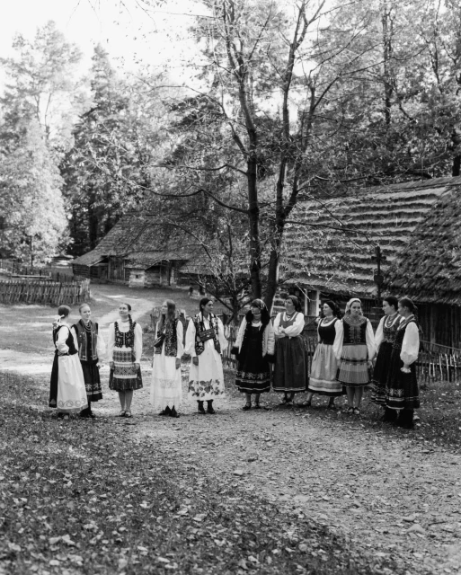 Fall 2024 Ad Campaign