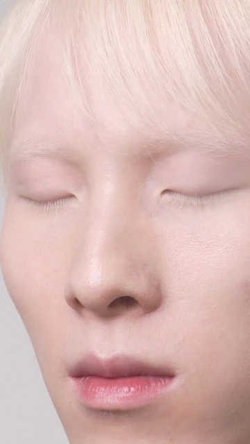 Fall 2024 Ad Campaign