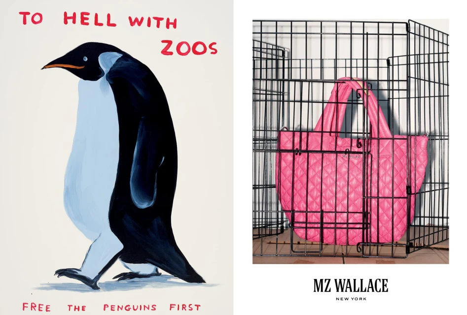 Fall 2024 Ad Campaign