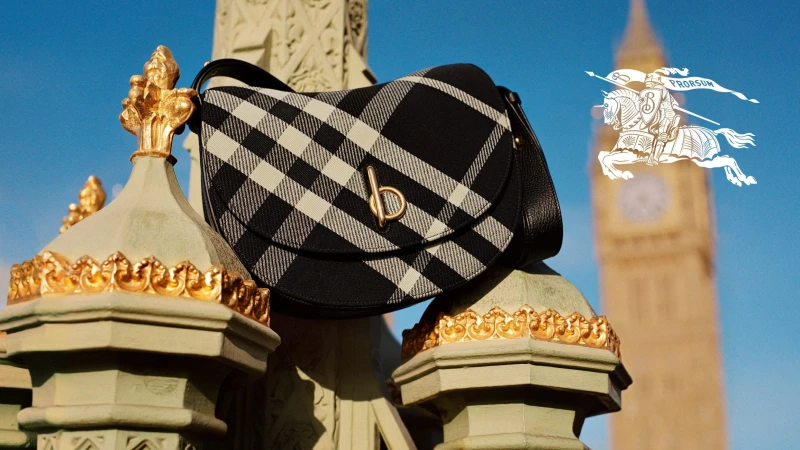 Black and white check handbag resting on an ornate stone architectural structure with a distant clock tower and clear blue sky.