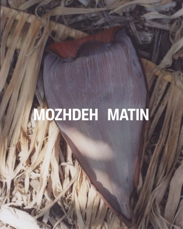 Close-up shot of a textured banana blossom bract resting among dry straw and palm fibers.