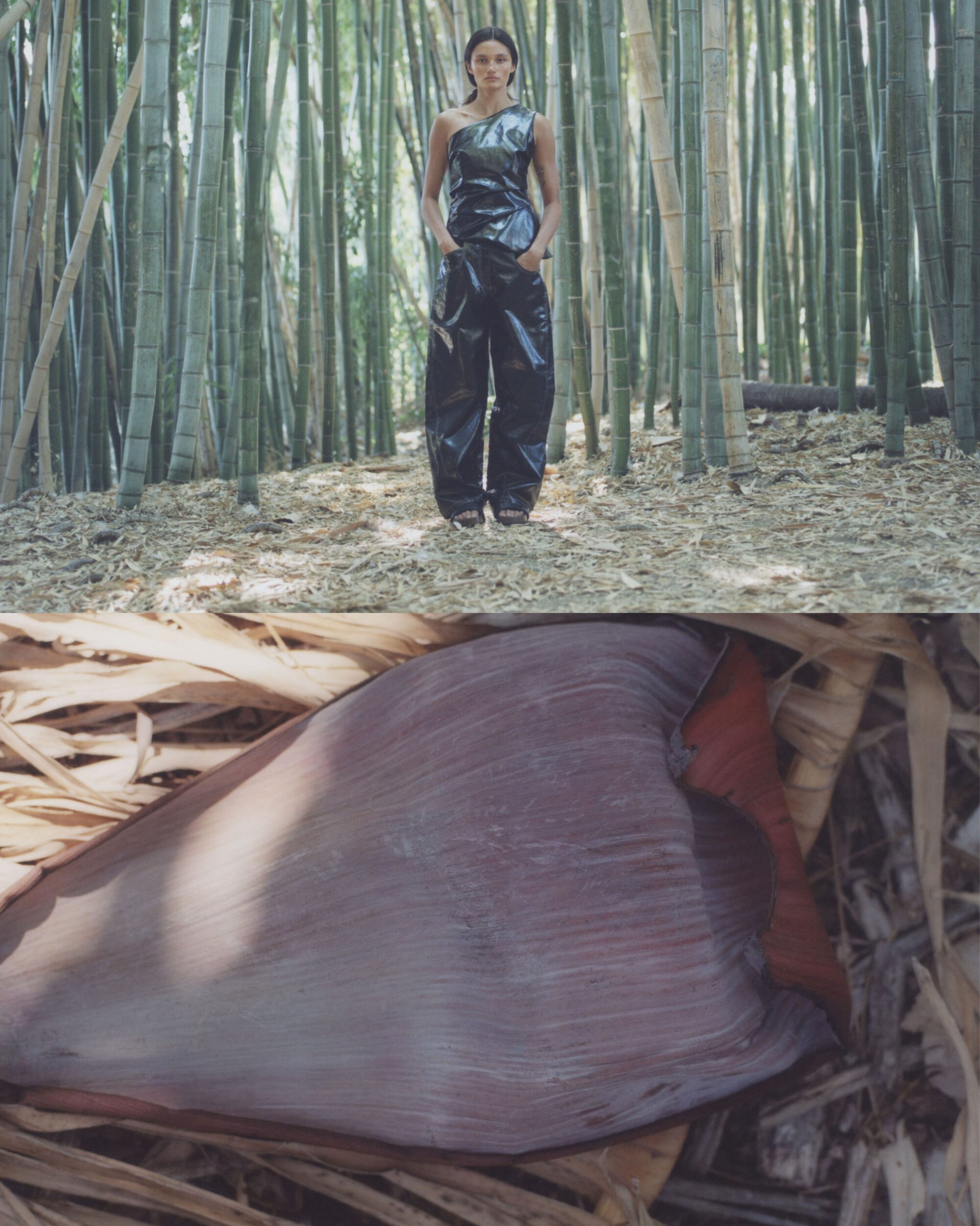 Model standing in a bamboo forest above a close-up detail shot of a large textured botanical pod for Mozhdeh Matin Fall 2024 Ad Campaign