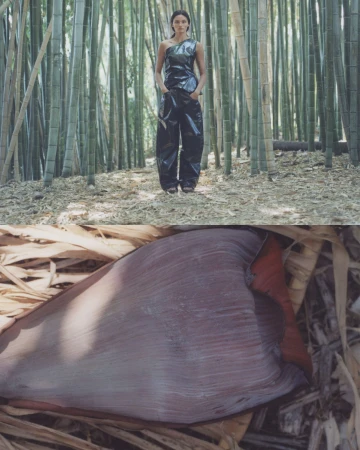 Model standing in a bamboo forest above a close-up detail shot of a large textured botanical pod for Mozhdeh Matin Fall 2024 Ad Campaign