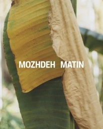 Close-up of a large green and dry yellow banana leaf with crisp veins against a soft-focus natural background
