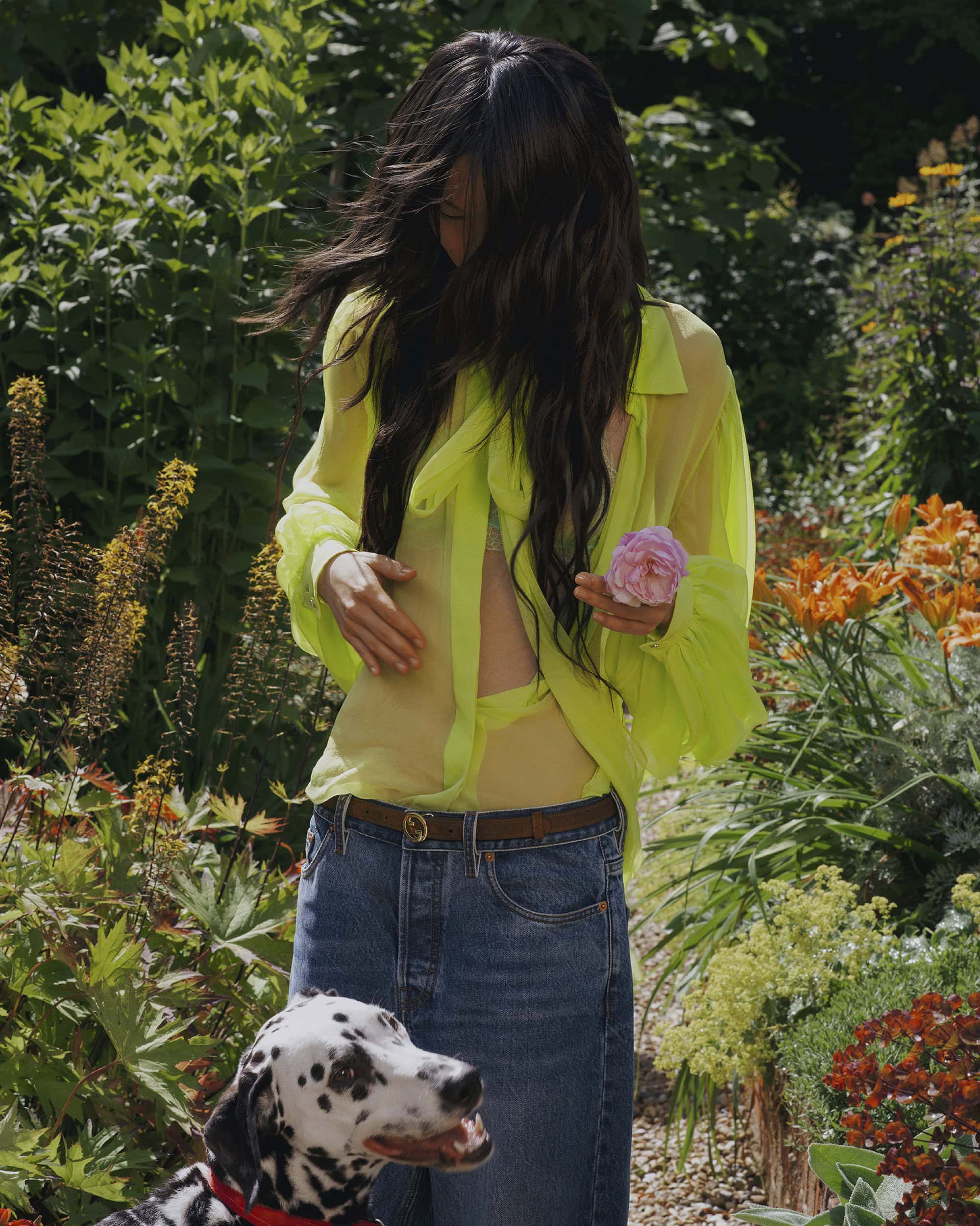 Model with long dark hair wearing a sheer yellow blouse and blue jeans standing in a lush garden next to a dalmatian dog
