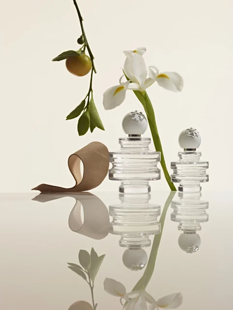 "Sublime" Fall 2024 Ad Campaign