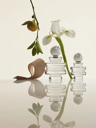 Two clear glass perfume bottles with white spherical caps next to a white iris flower, a citrus branch, and a curled ribbon on a reflective surface