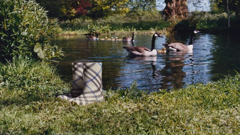 Burberry check rain boots standing on grassy bank beside a pond with swimming geese in Oxfordshire