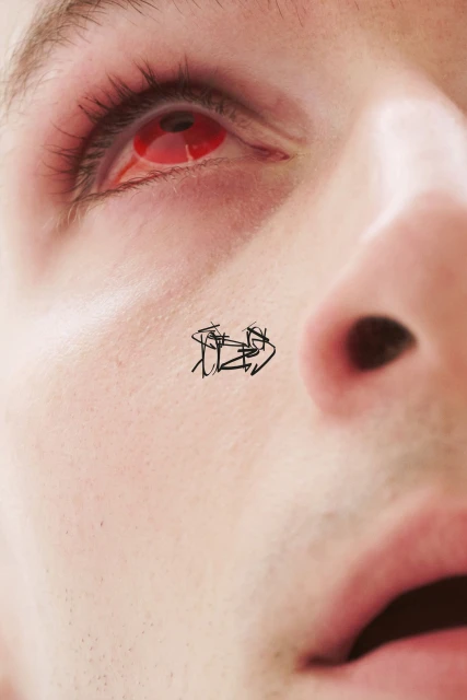 'Incognito' Fall 2024 Ad Campaign