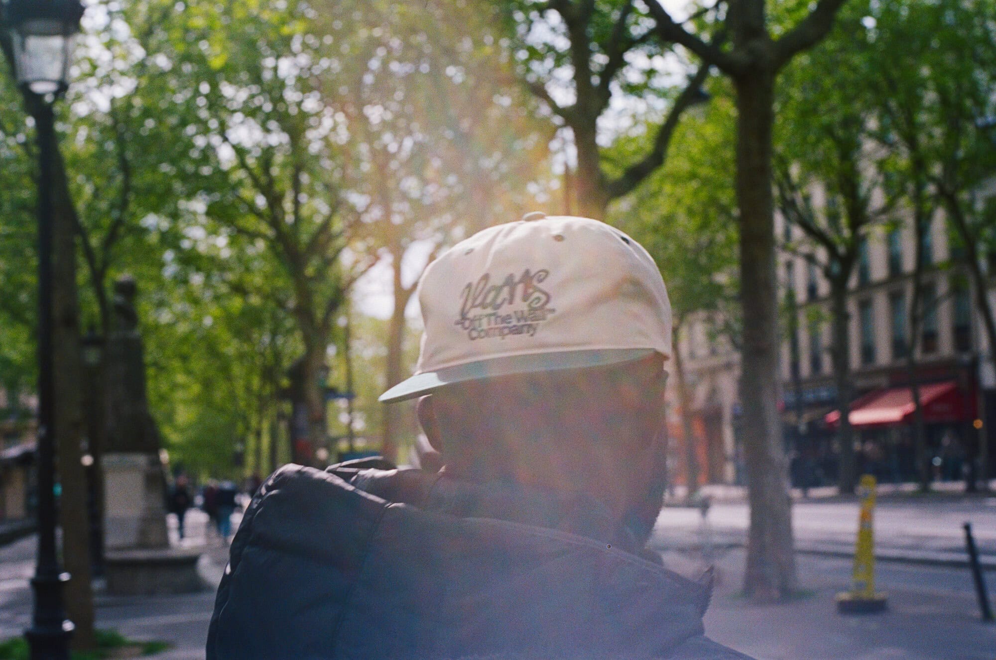 Rear view of a person wearing a white Vans cap and dark jacket on a tree-lined city street with warm sunlight filtering through branches.