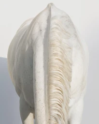 Rear view of a white horse with a prominent mane against a solid white background for the Gucci Fall 2024 campaign.