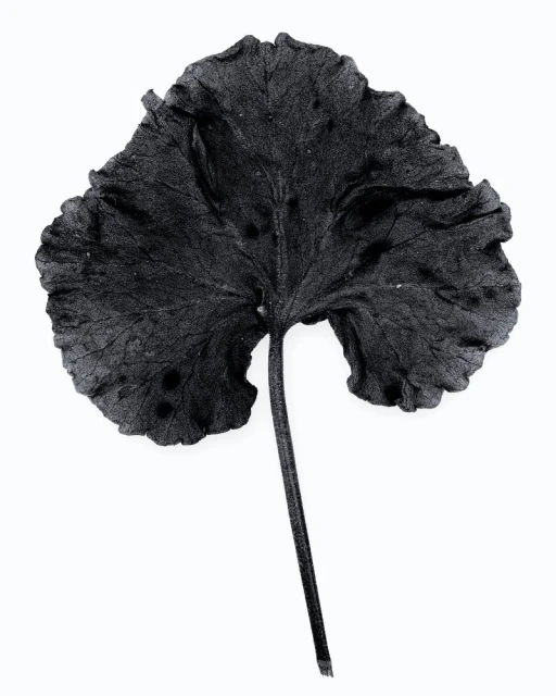 Eduard Sánchez Ribot