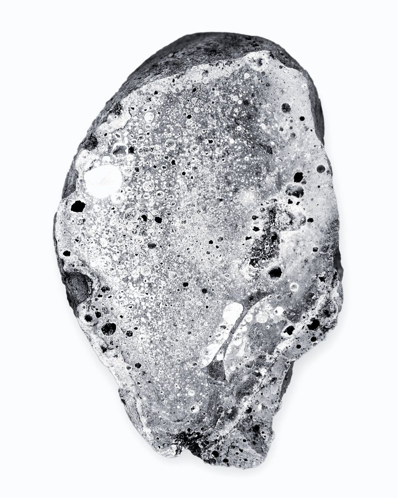 Monochrome image of a porous rock or mineral specimen featuring various holes and surface irregularities against a white background.