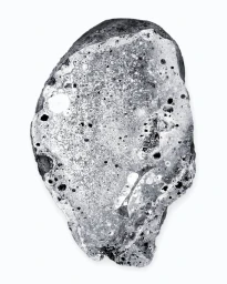 Close-up macro shot of a textured grey mineral specimen with pitted surface holes on a white seamless background.