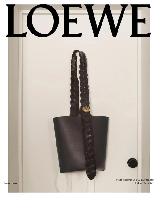 Loewe pebble bucket bag in dark brown leather, displayed on a white door, with the brand name prominently featured at the top.