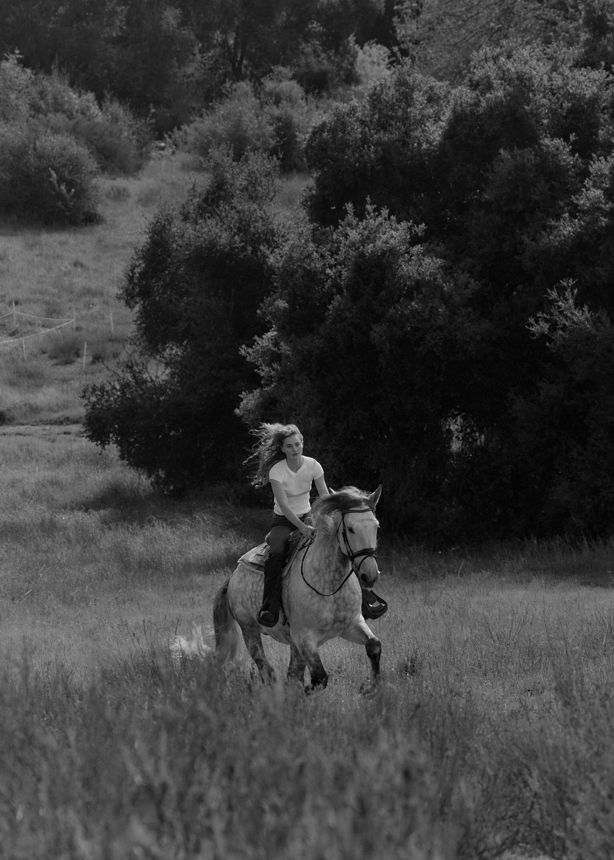 A woman with long hair rides a light-colored horse through a grassy field with trees in the background in a black and white photograph.