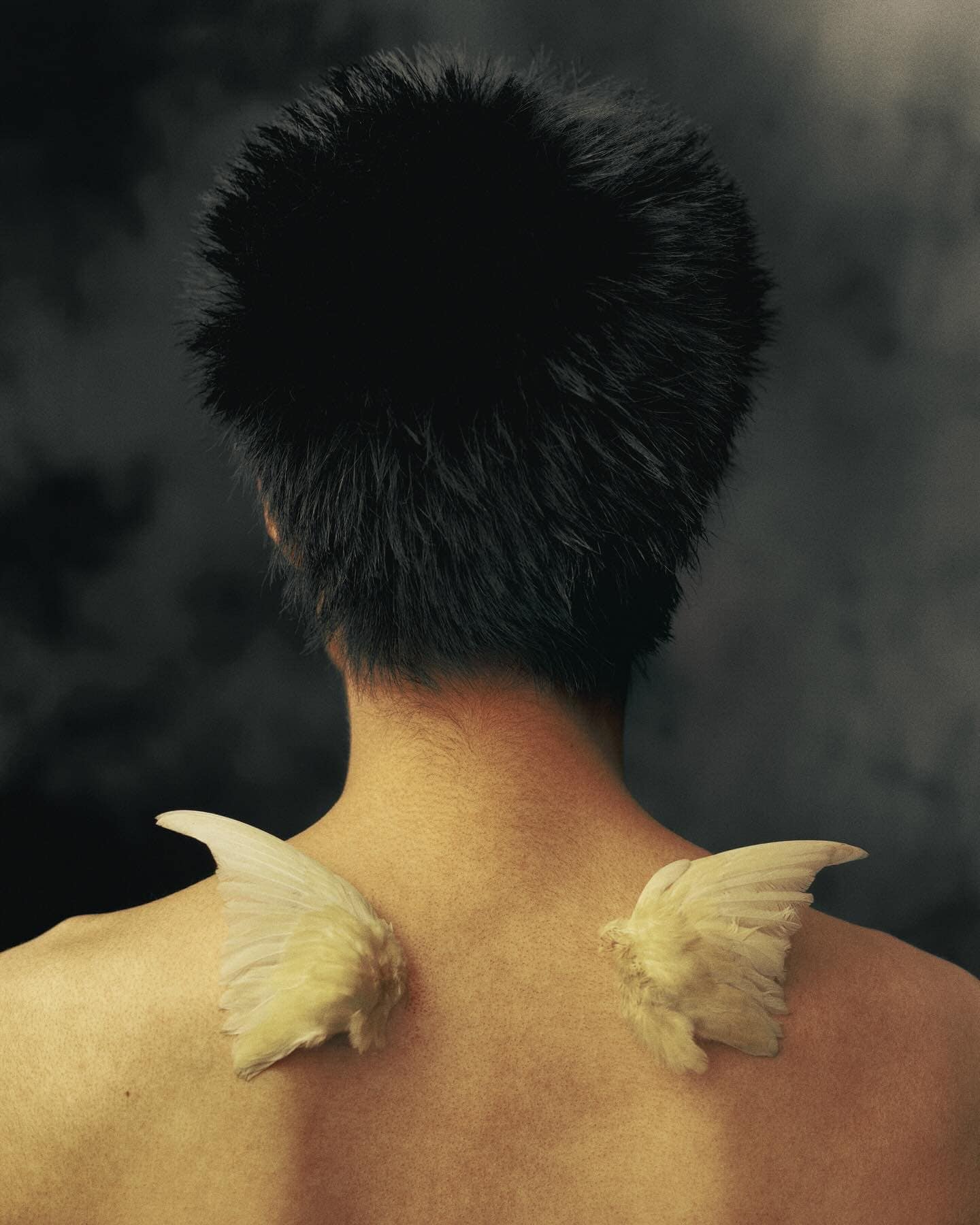 Rear view of a person with dark hair and tan skin featuring two small, white, textured wings attached to the upper back; dark background.