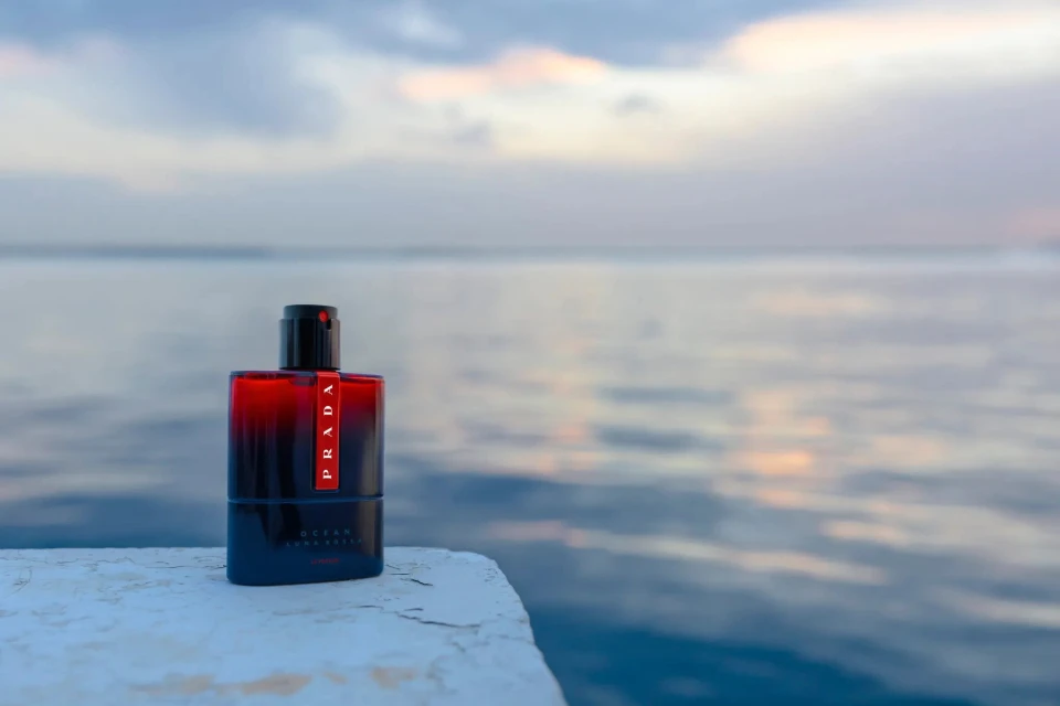 Nicolas Davenel and Vanessa Dumont