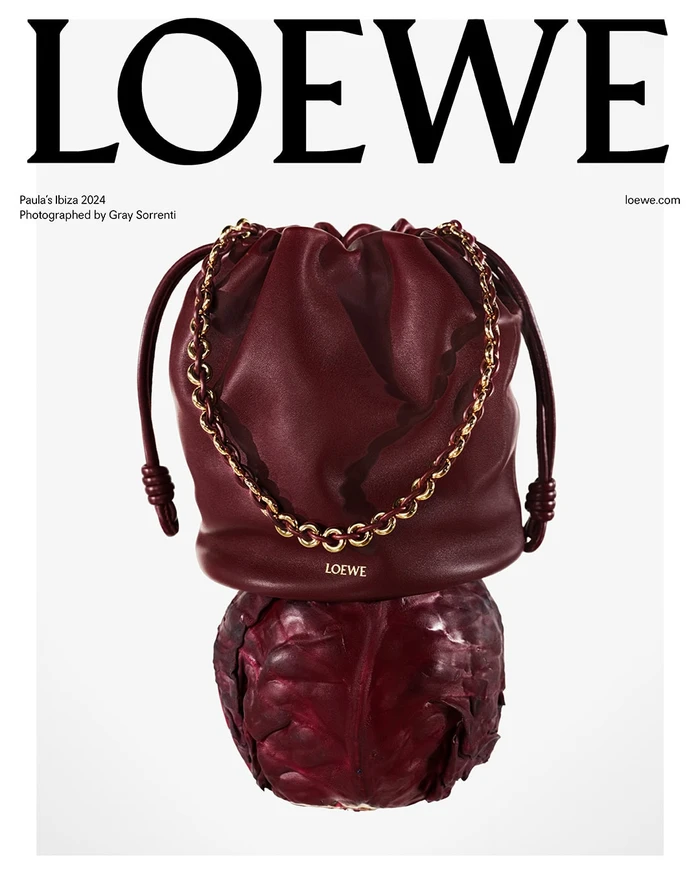 Loewe burgundy leather handbag resting atop a whole red cabbage against a plain white studio background.